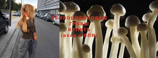 шишки Аркадак