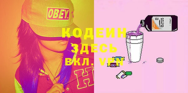 шишки Аркадак