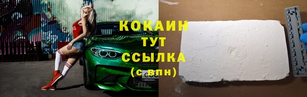 сатива Арсеньев