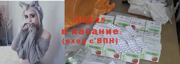 сатива Арсеньев