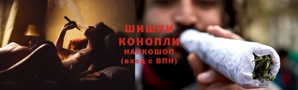 сатива Арсеньев