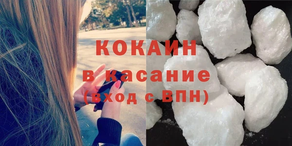 сатива Арсеньев