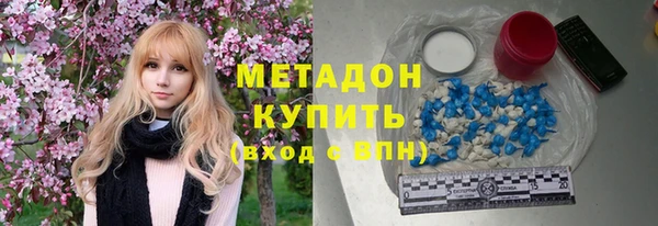 шишки Аркадак