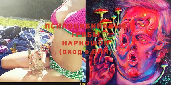 сатива Арсеньев