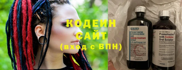 шишки Аркадак