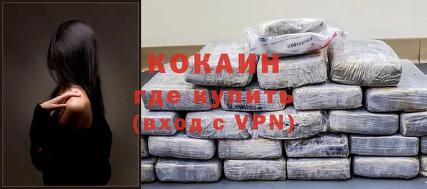 шишки Аркадак